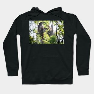 Green Heron Hoodie